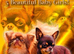XxQuality chihuahua Thai/russian lines