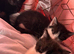 Kittens / cats