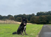 10 month old german shepherd cross akita