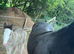 14h 5 year old mare and 26 day old foal out of 15.2h stepping cob