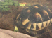 Sid