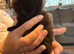 Kitten