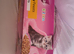 Kitten food and adult food treats