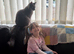 Mainecoon pedigree