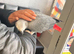 Supertame and Talking African Grey