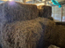 2025 meadow small hay bales