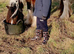 Beautiful, sensible cob brothers for loan in Rainham, Essex