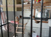 Ten finches and cage for sale