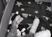 Old english sheepdog puppys