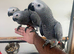 Ready Now Baby HandReared Super Tame Cuddly Friendly African Grey Parrot,26