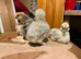 Silkie chicks for sale (un-sexed)......you have to pick a sex......pure beerds from show stock