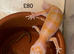 Albino leopard gecko cb26