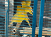 I have 20 sattinett canary’s for sale cocks and hens last years birds