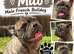 Milo