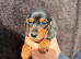 Beautiful dachshund puppies