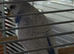 Available Male Budgie over 1 1/2 years old pale purple and white colour (i have retired him from breeding)