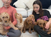 Miniature multigeneration labradoodle
