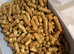 REPTI TURF Tortoise Substrate. Biodegradable LARGE BAG