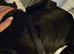 Male cane corso 7 months old