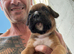 Champion breed boxer puppies