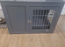 Grey dog wooden crate.