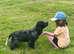 Show type kc registered male pup