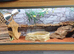 Bearded dragon and viv for sale