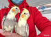 Super silly hand tamed baby cockatiel