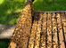 6 Frame Overwintered Langstroth Nucleus of Bees 2027