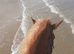 17hh Section D
