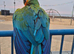 HyBrid Macaw