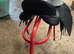 Wintec 500 All Purpose Hart Saddle 16”