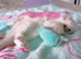 Blue lynx ragdoll kitten - boy