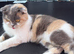 Stunning girl available