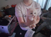 7 Lovely fluffy ragdoll/Scottish fold kittens