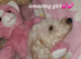 Full Poodles