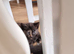 Mixed breeded kitten 8 weeks looking for new home