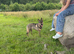 Experienced rehome needed