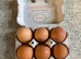 Fertile eggs