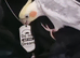Hello I have female and male cockatiel