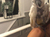 Female cockatoo