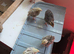 I have 5 mixed quail chicks