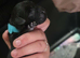 Patterdale mix