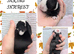 3 beautiful mini lops