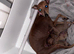*2 Boys Ready To Leave Now * KC Italian Greyhound Puppies