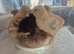 1 week old mixed breed chicks