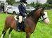 12h Section A, lead rein pony, 12yr old