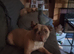4 yr old KC french bulldog
