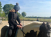 WANTED:loan pony for intermediate rider