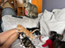 2 female kittens available